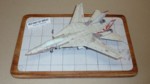 F-14 Tomcat (02).JPG

107,83 KB 
1024 x 576 
02.08.2023
